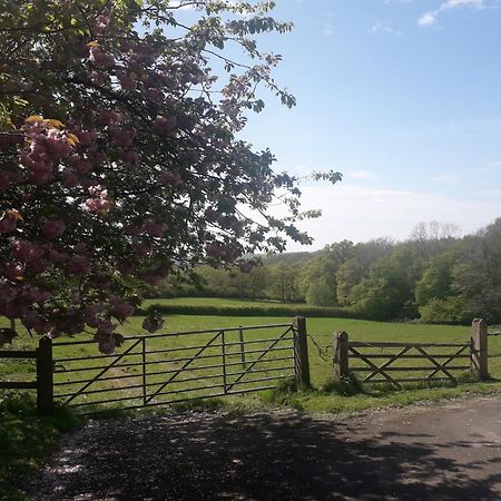 Moaps Farm B&B Support Small Business, Welcome, Check In From 5 Pm Danehill Extérieur photo