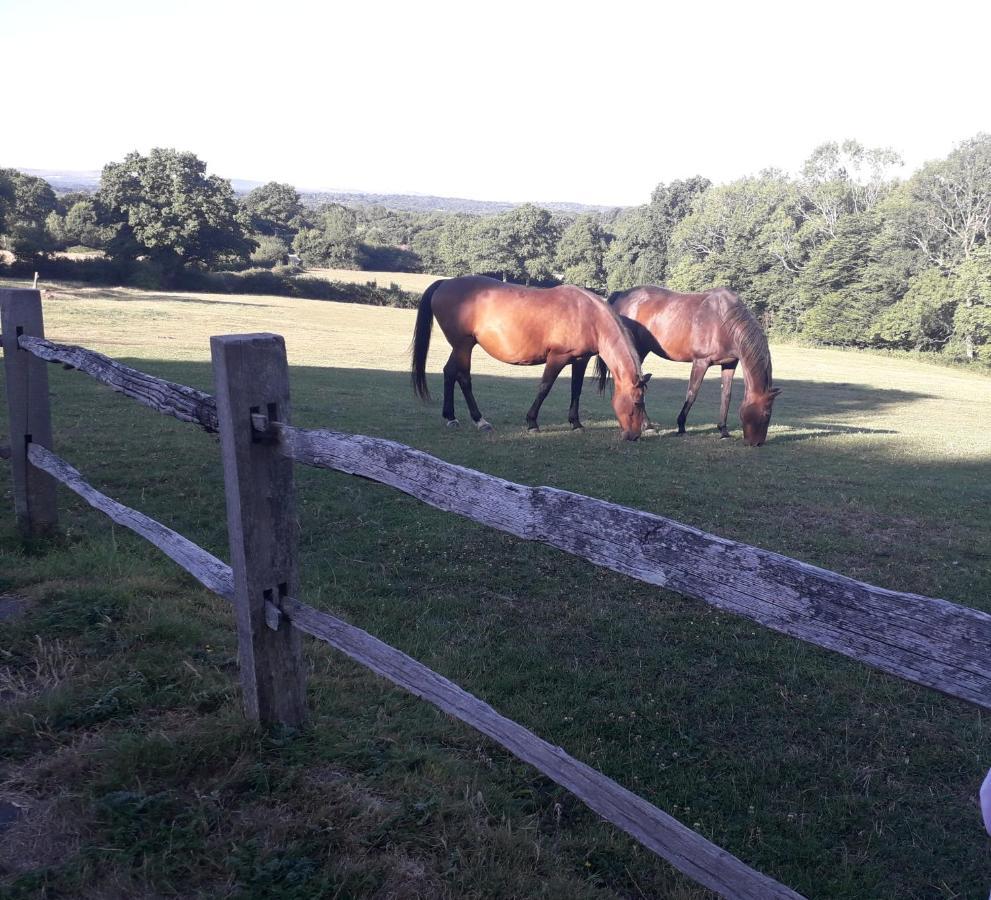 Moaps Farm B&B Support Small Business, Welcome, Check In From 5 Pm Danehill Extérieur photo