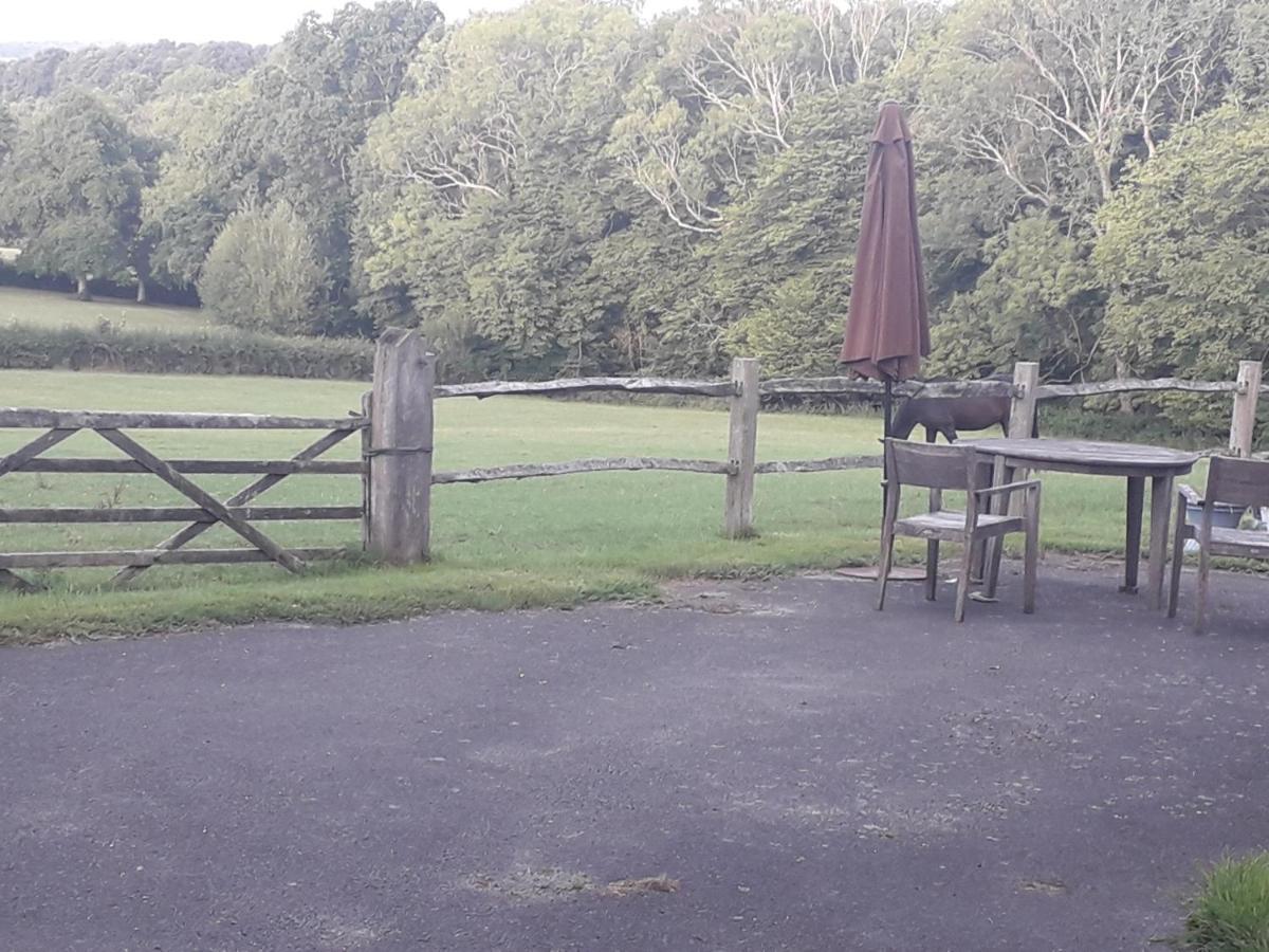 Moaps Farm B&B Support Small Business, Welcome, Check In From 5 Pm Danehill Extérieur photo