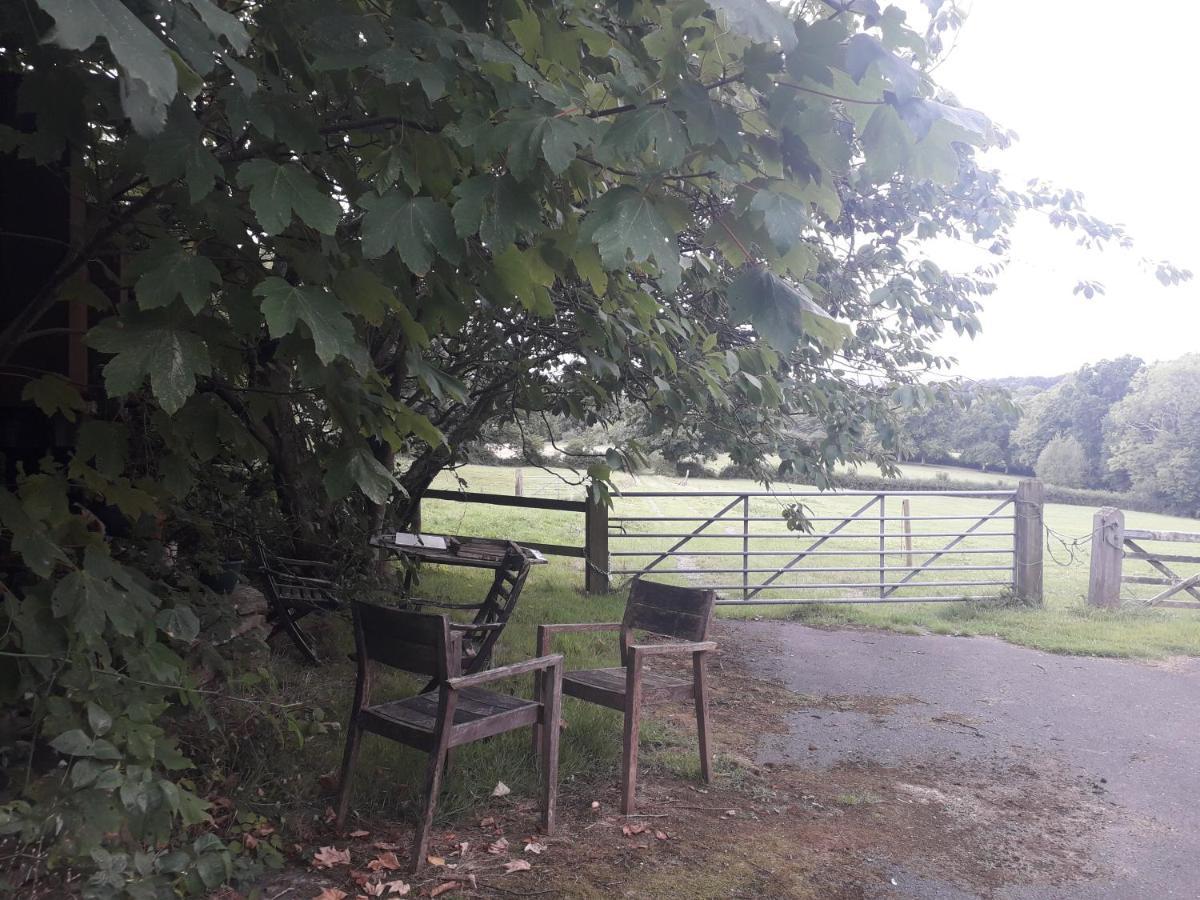 Moaps Farm B&B Support Small Business, Welcome, Check In From 5 Pm Danehill Extérieur photo