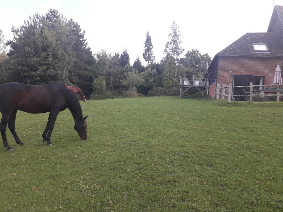 Moaps Farm B&B Support Small Business, Welcome, Check In From 5 Pm Danehill Extérieur photo