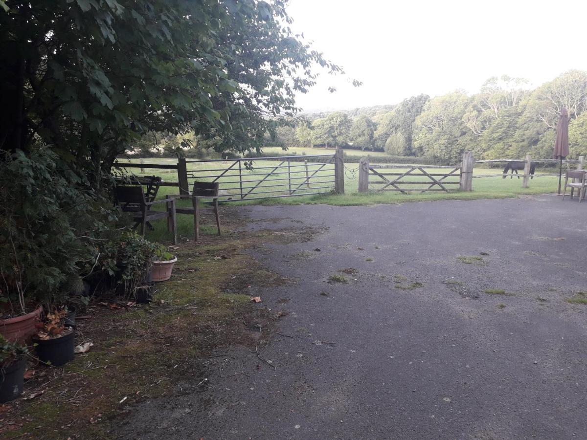 Moaps Farm B&B Support Small Business, Welcome, Check In From 5 Pm Danehill Extérieur photo