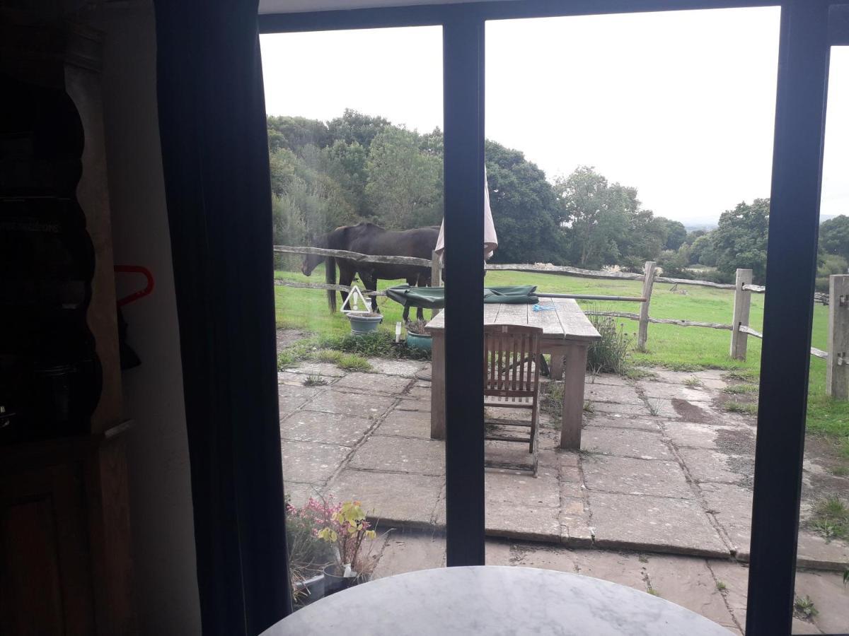 Moaps Farm B&B Support Small Business, Welcome, Check In From 5 Pm Danehill Extérieur photo