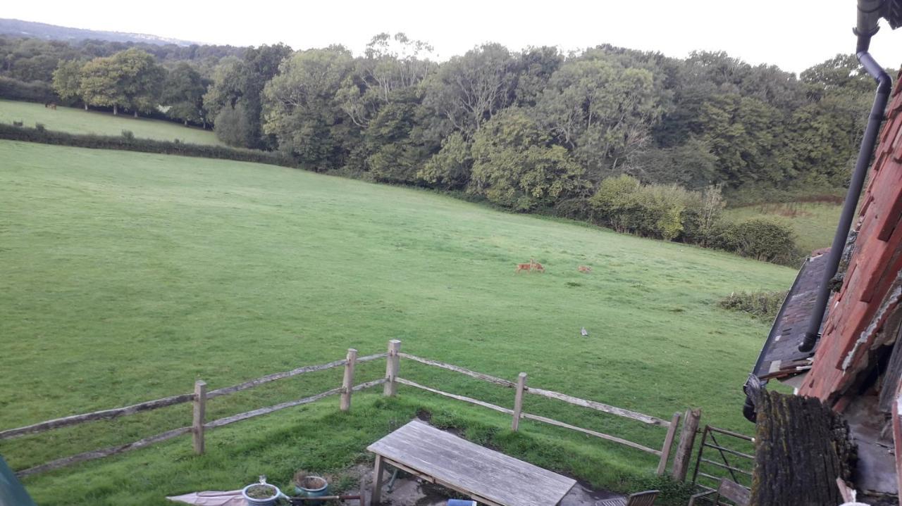 Moaps Farm B&B Support Small Business, Welcome, Check In From 5 Pm Danehill Extérieur photo