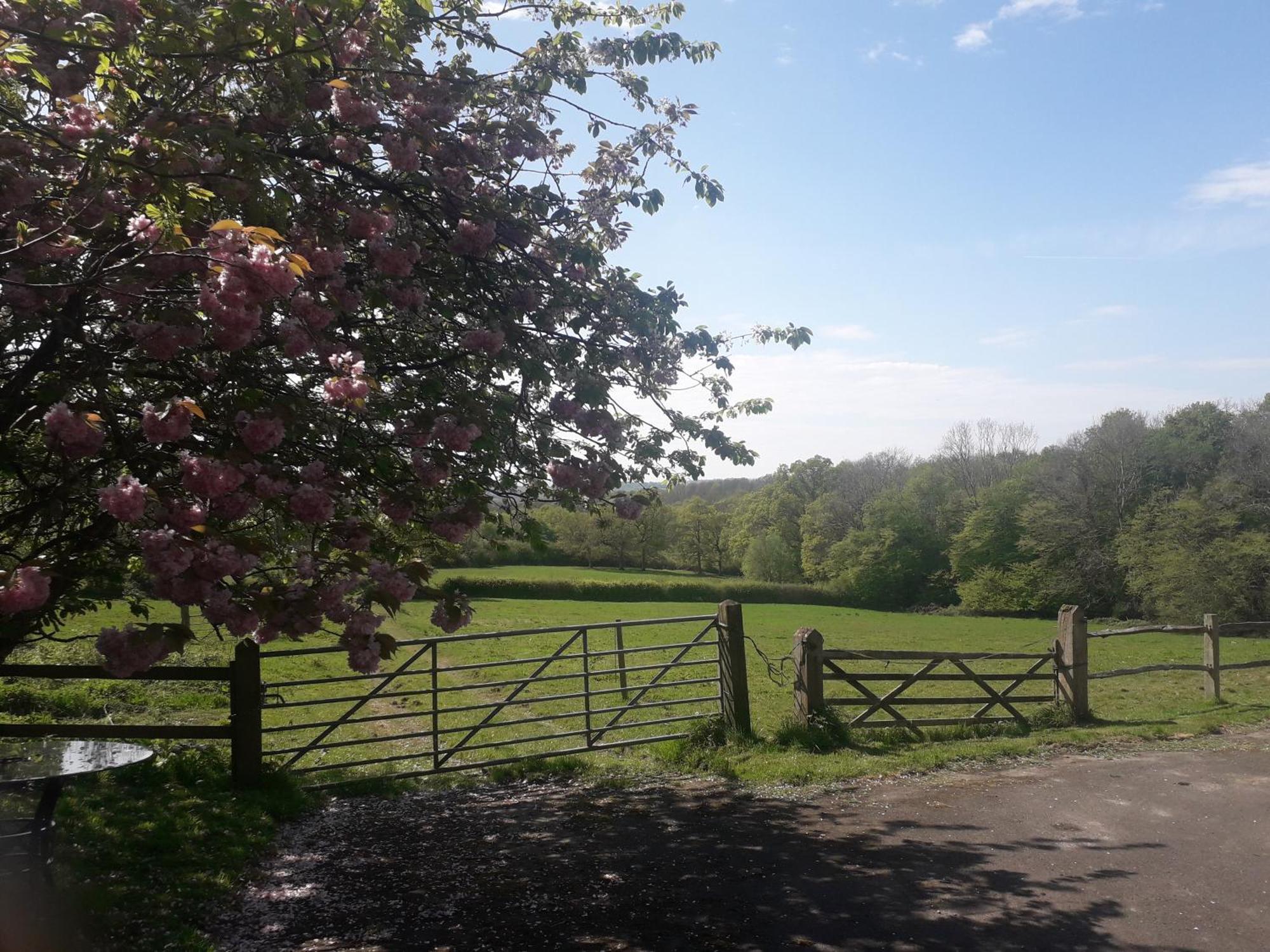 Moaps Farm B&B Support Small Business, Welcome, Check In From 5 Pm Danehill Extérieur photo
